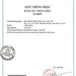 گواهینامه استاندارد ویتنام