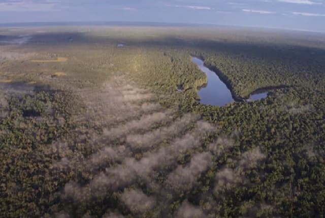 جنگل بزرگ آمازون که نقش مهمی در کاهش آلودگی هوا دارد
